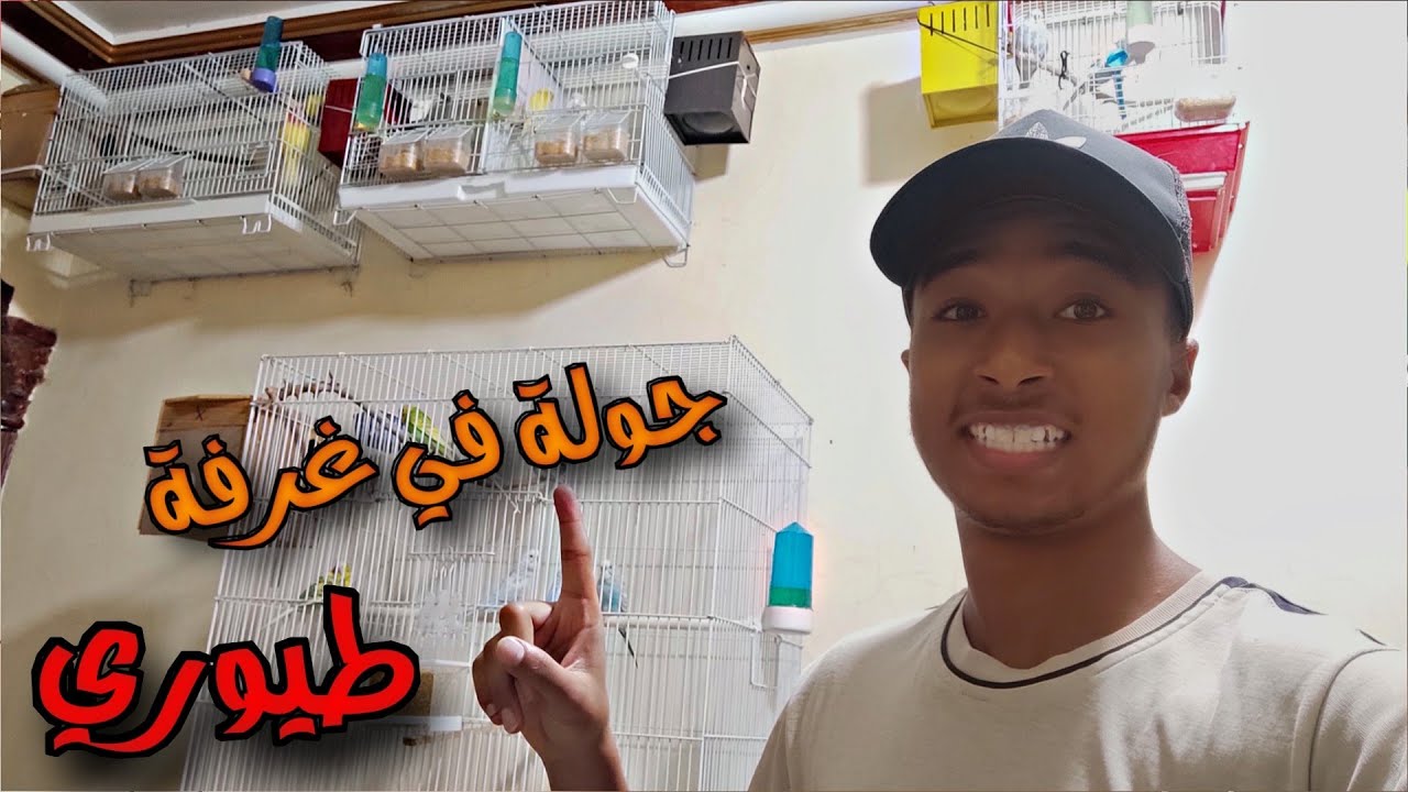 جولة في غرفة طيوري 🐦🔥 و الانواع لي تنربي 🐦🥀