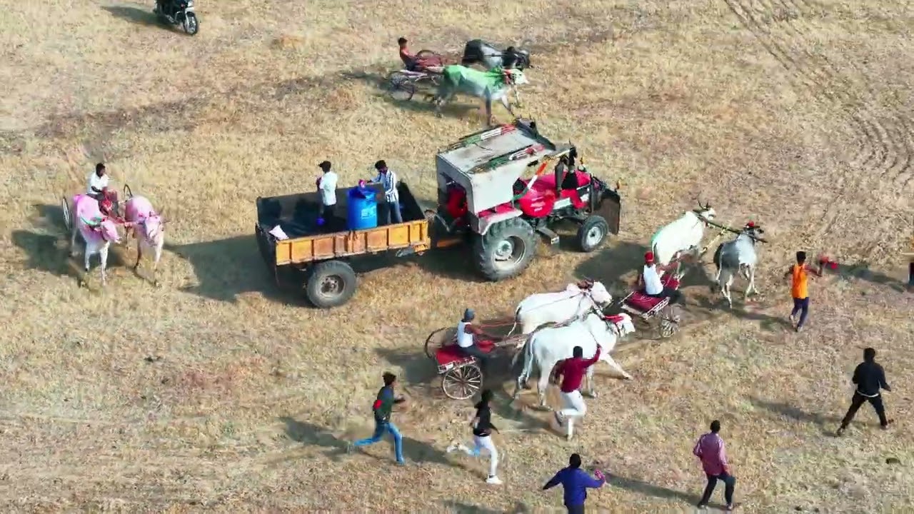 विष्णूवाडी दुसा चौसा बैलगाडी शर्यत 