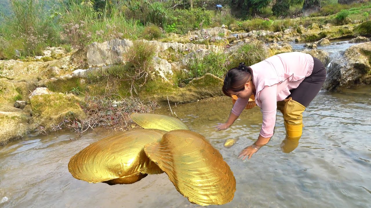 😱 The whole body is covered in golden clams, let's see what kind of pearls we can collect