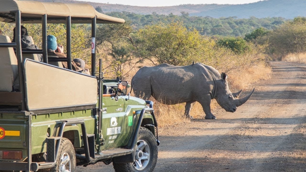 Jonathan explores the beautiful KZN wilderness on Top Billing | FULL INSERT