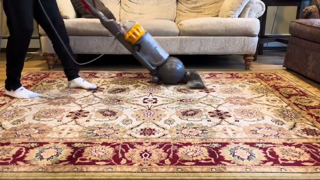 DYSON Ball Animal Vacuum Sound and Video