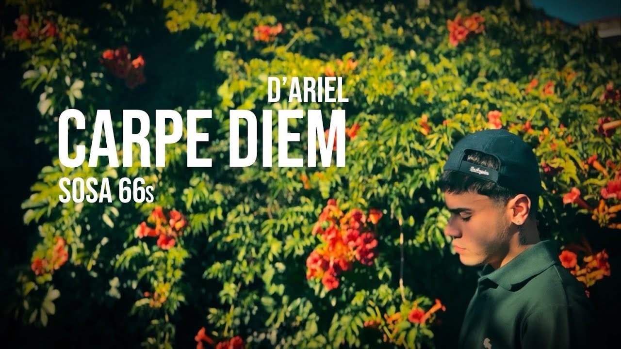 Sosa 66s - Carpe diem