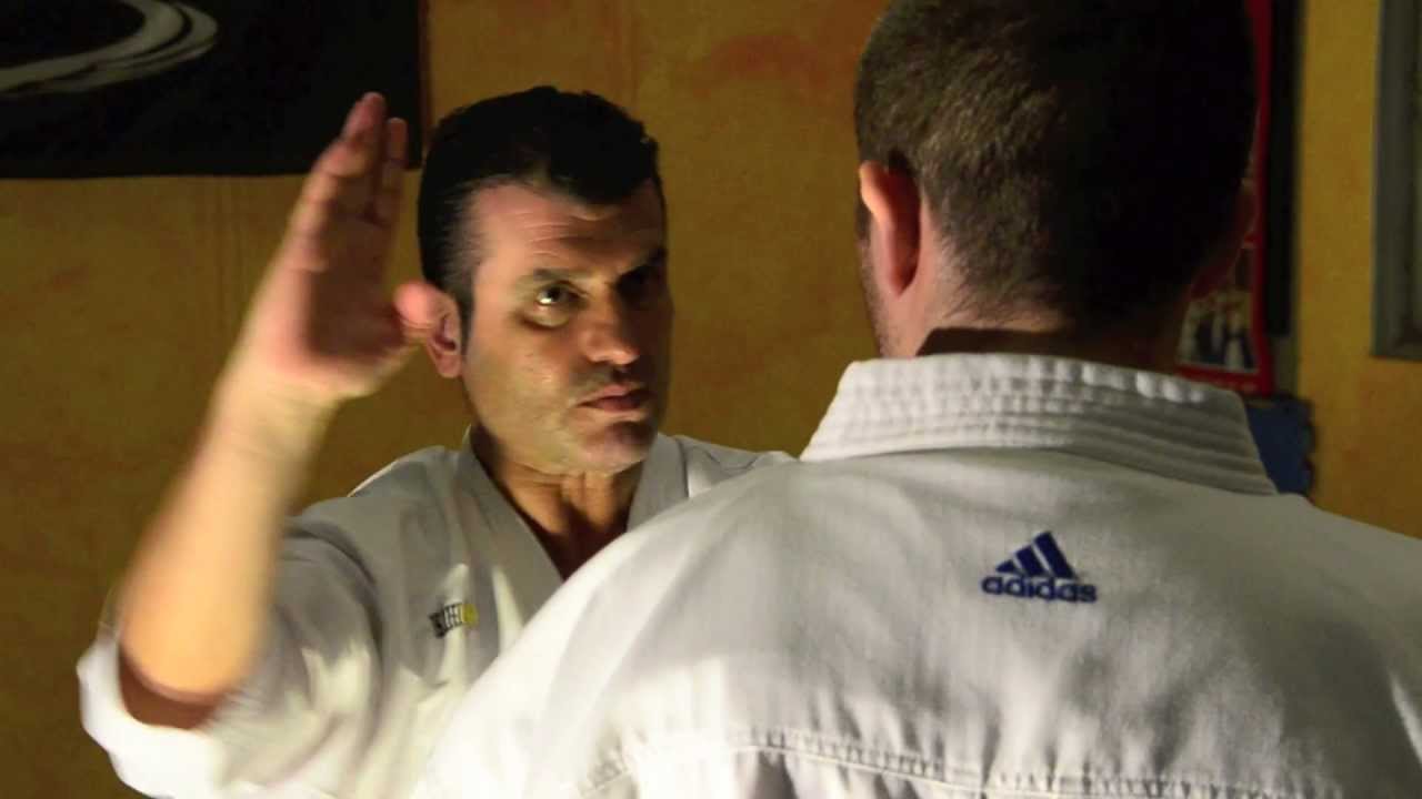 KARATE WADO SENSEI ILIAS CHRISTOU GREECE