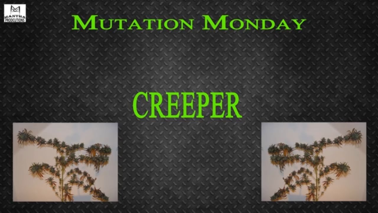 Creeper | Mutation Monday