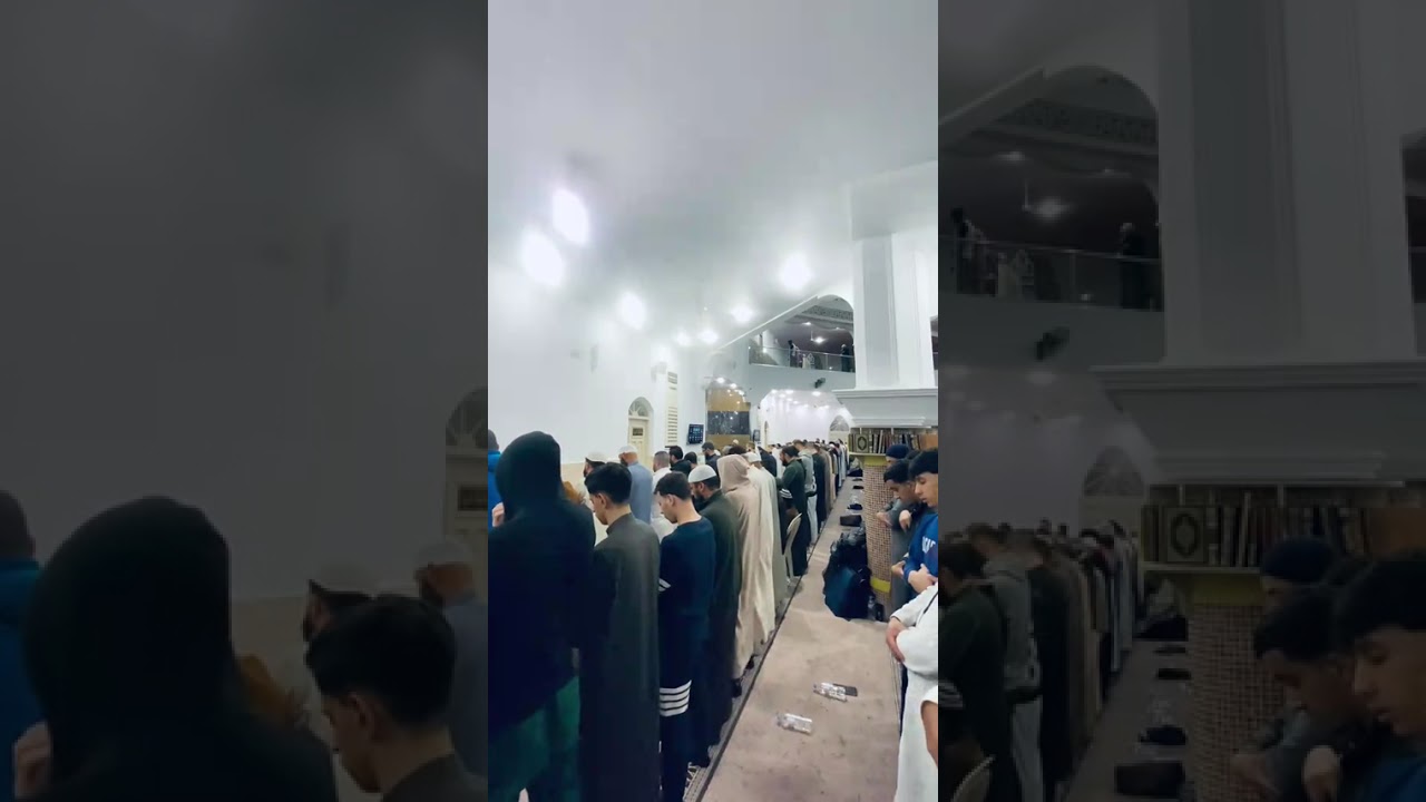 الشيخ يوسف أبو معاذ حفضه الله صلاة التراويح -سيق