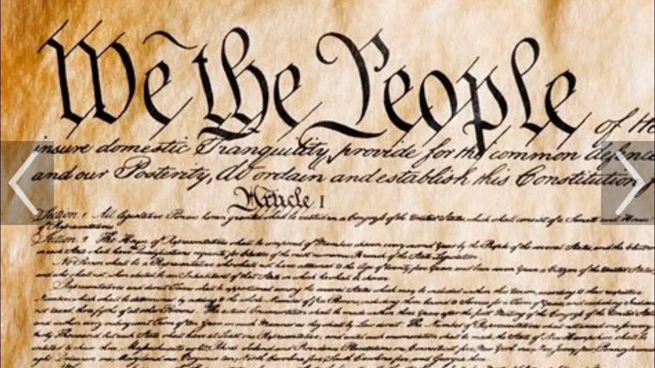 The Constitution For Lefty Lunatics