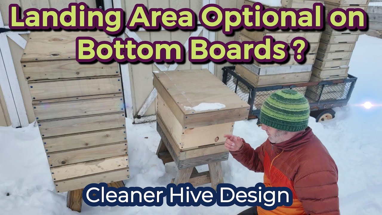 DIY Flush Beehive Bottom Boards Design. Removing the Landing Area & Bee Yard Tour