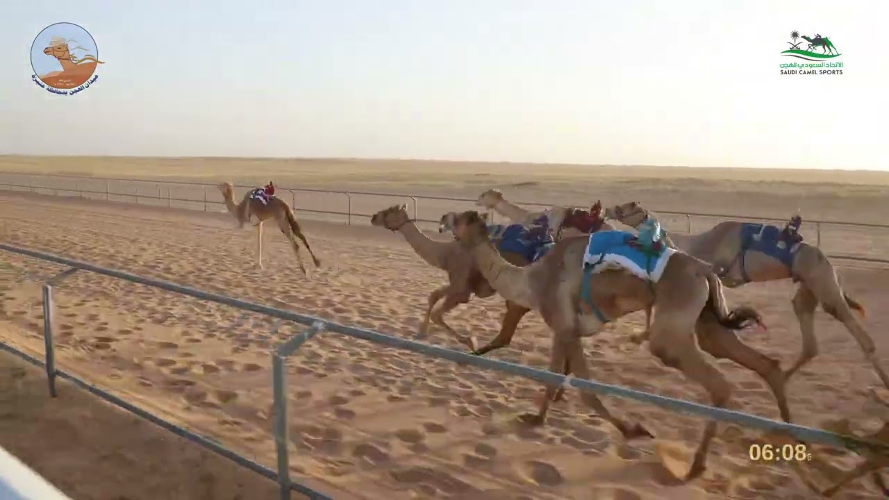 الشوط الاول كبار مكس / الخطه ل عاصي راكان الجبرين