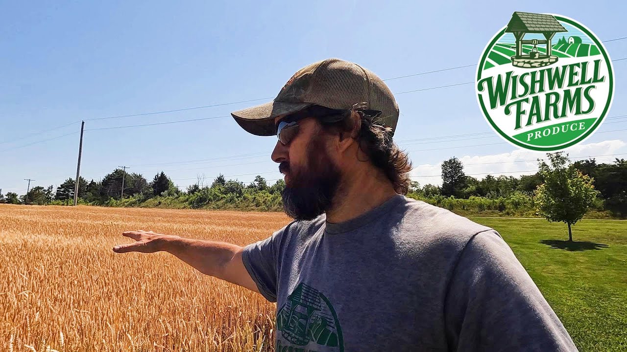 THE UNTOLD SIDE OF VEGETABLE FARMING:  UNIQUE AND ODD JOBS ON OUR FARM