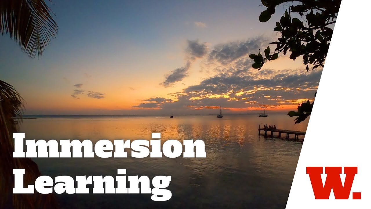 Immersion Learning - The Global Classroom