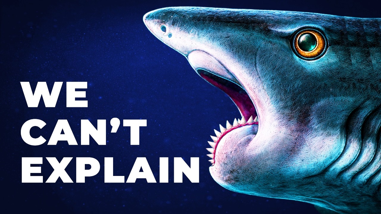 Why Evolution Created A Shark With A Buzzsaw Jaw