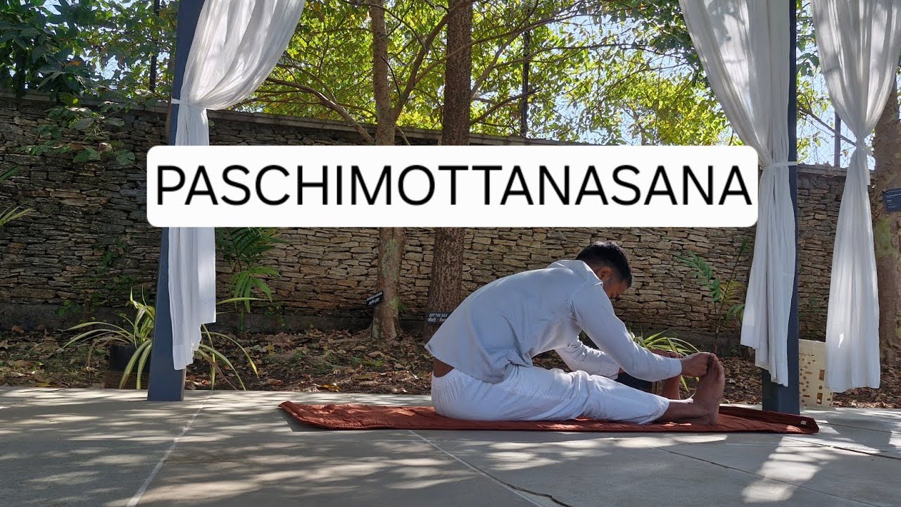 Paschimottanasana (Seated Forward Bend) | Benefits, Steps & Contraindications