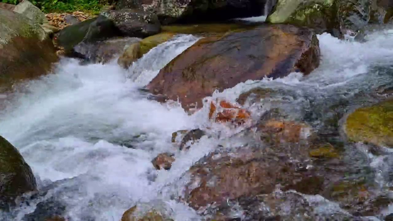 Stream Ambience for Focus and Relaxation &bull; 1 Hour Natural Water Sounds for Clarity 4K