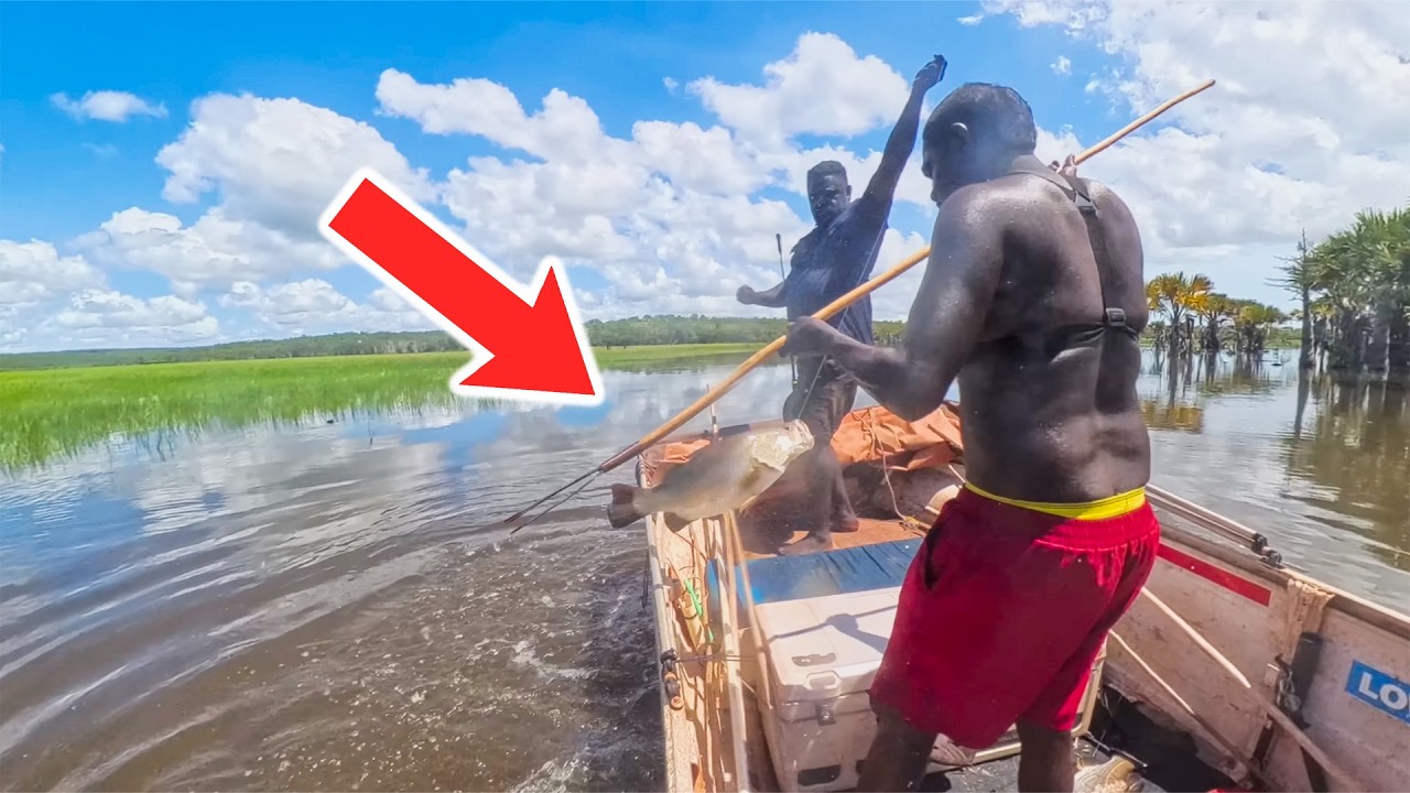 Catching HUGE Barramundi In The Australian Outback (Catch & Cook)