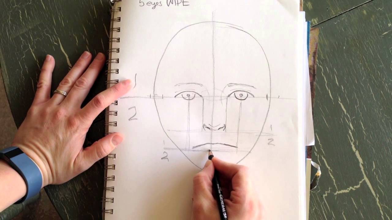 Facial proportions II
