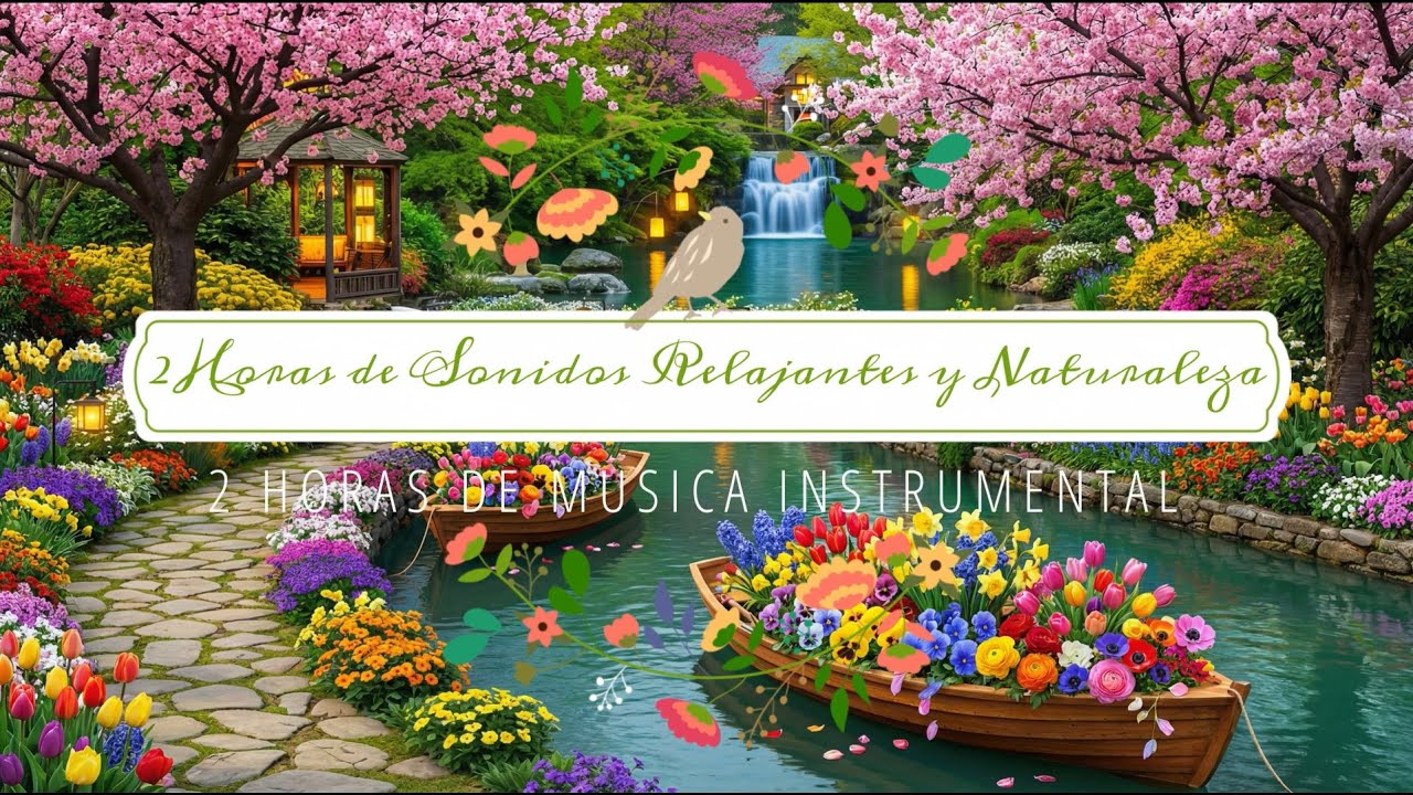 2 Horas de Sonidos Relajantes de la Naturaleza  Riachuelo y Cascada | Música Instrumental suave