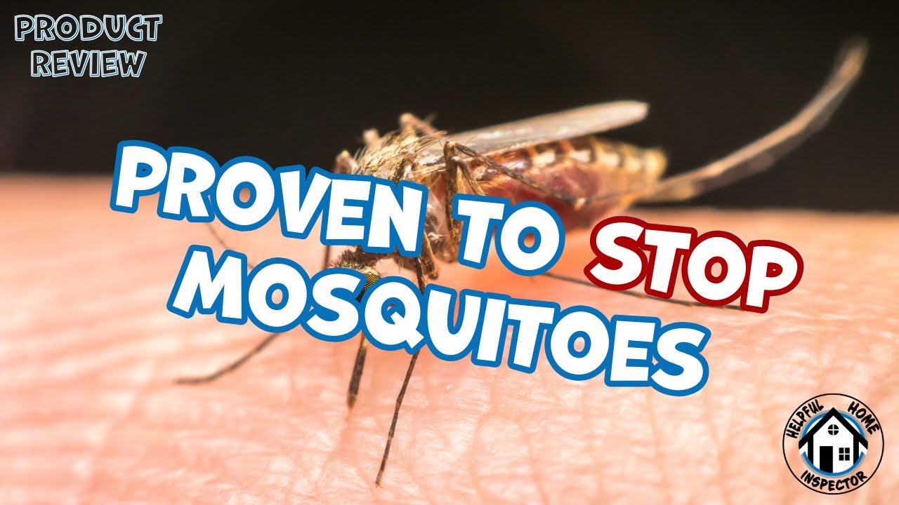NO more mosquito bites! Few tips to help enjoy your yard