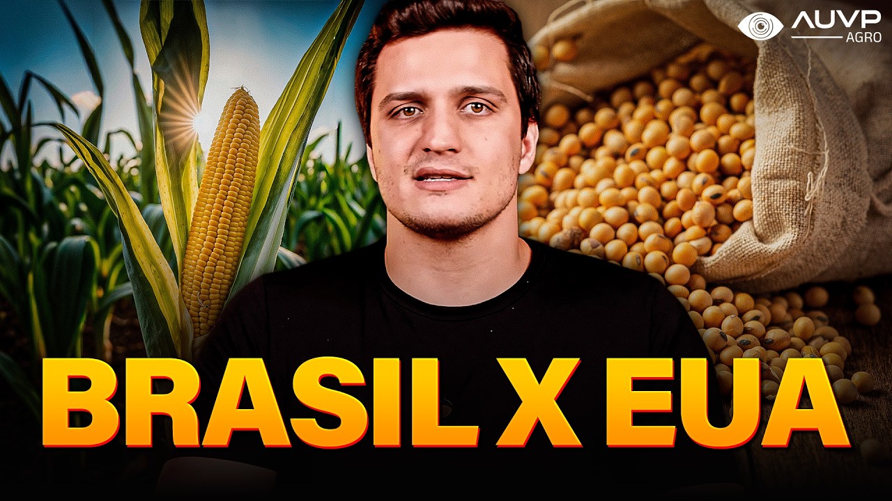 BRASIL X EUA: quem é mais produtivo?