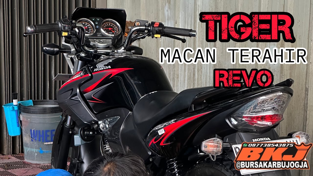 Mumpung masih belum punah Tiger revo 2012 simpanan