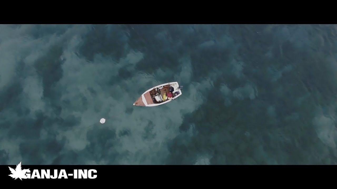 Devi Dev - Antias (Official Video)
