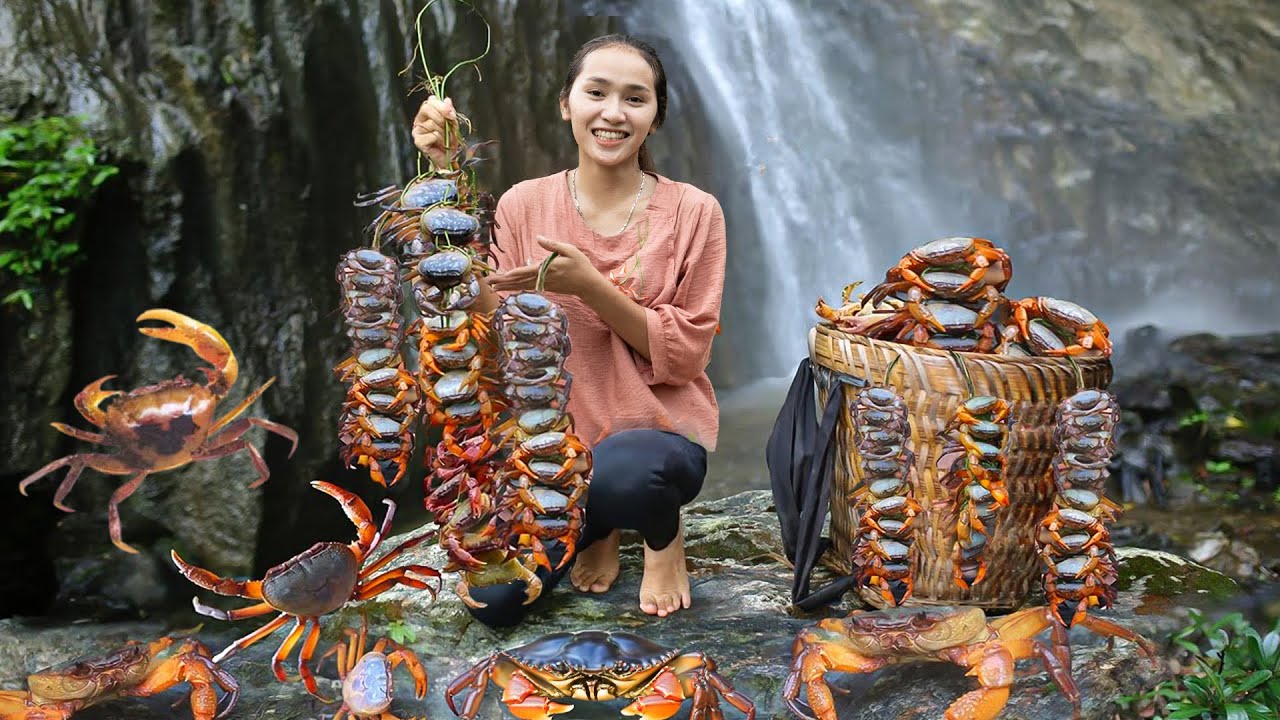 Harvesting Crabs Using Bamboo Basket Traps - Go To The Market Sell - Gardening | Tieu Van Harvest
