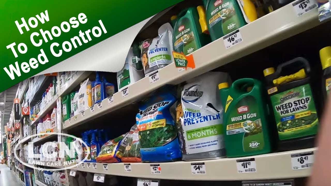 How To Choose The Right Weed Control for Your Lawn with Allyn Hane The Lawn Care Nut