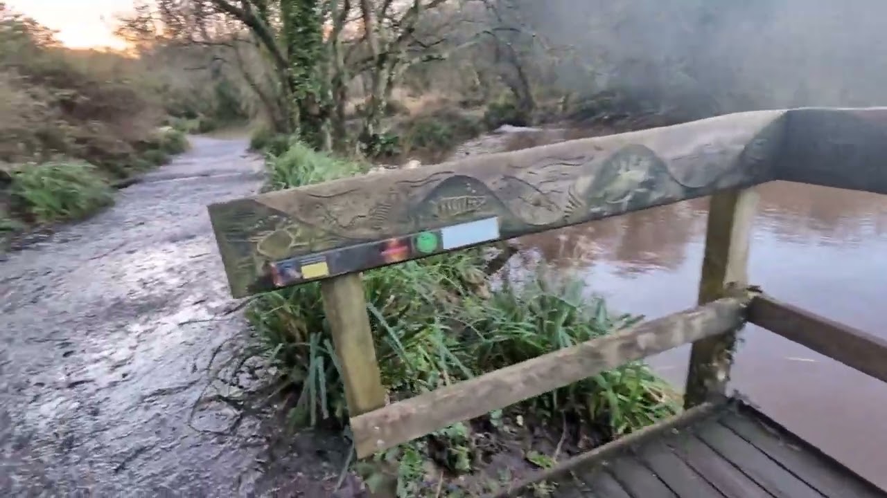 Walk around clennon lakes goodrington 01/02/26 #lakes #wildlife #swans #devon #muddy