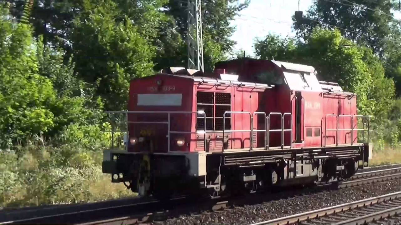 Dicke Brummer in Hohen Neuendorf West.
