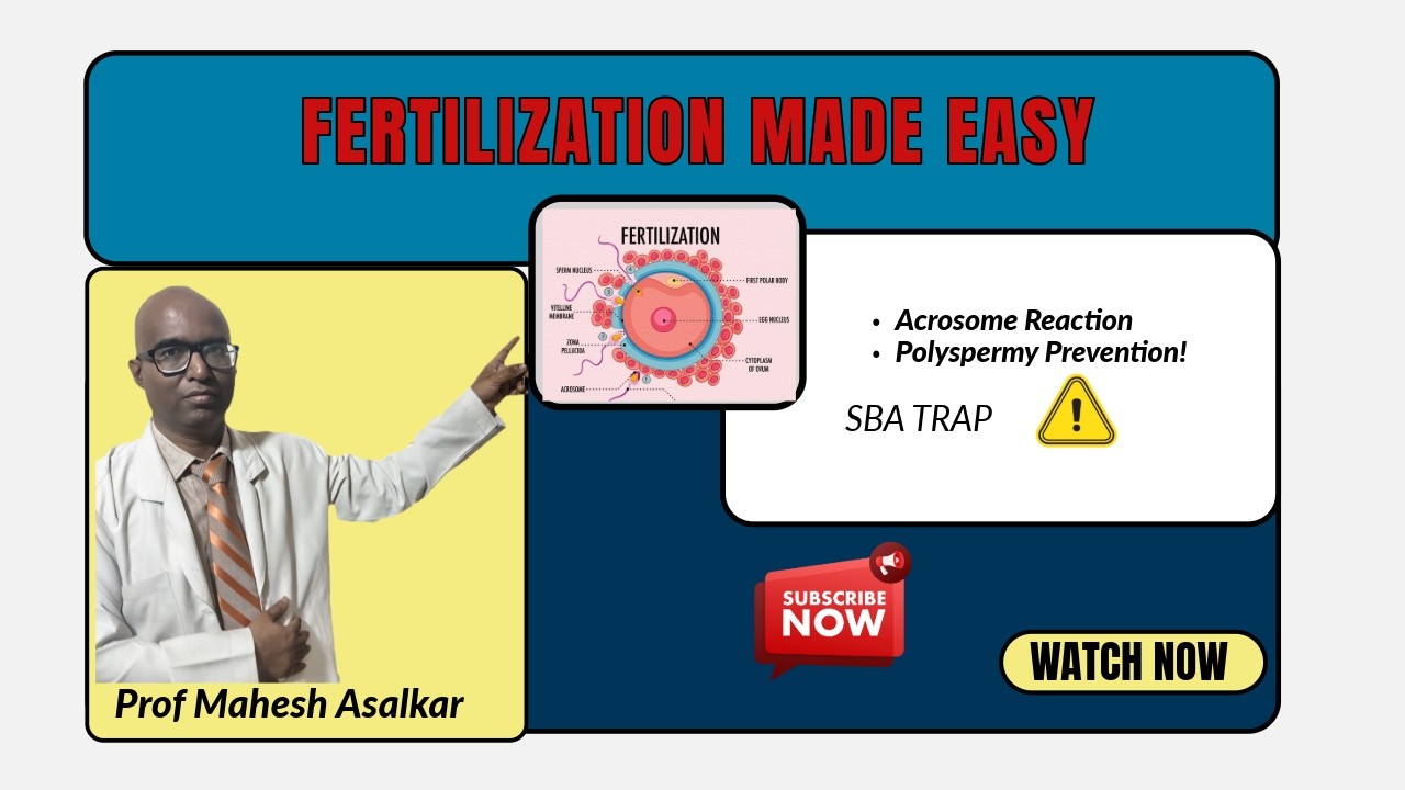 Fertilization for MRCOG Part 1 | Acrosome Reaction, Zona Pellucida & Polyspermy Block