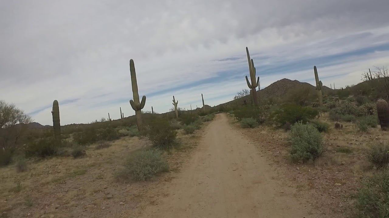 Cycling San Tan Mountain Regional Park, Queens Creek, AZ   Feb 2020