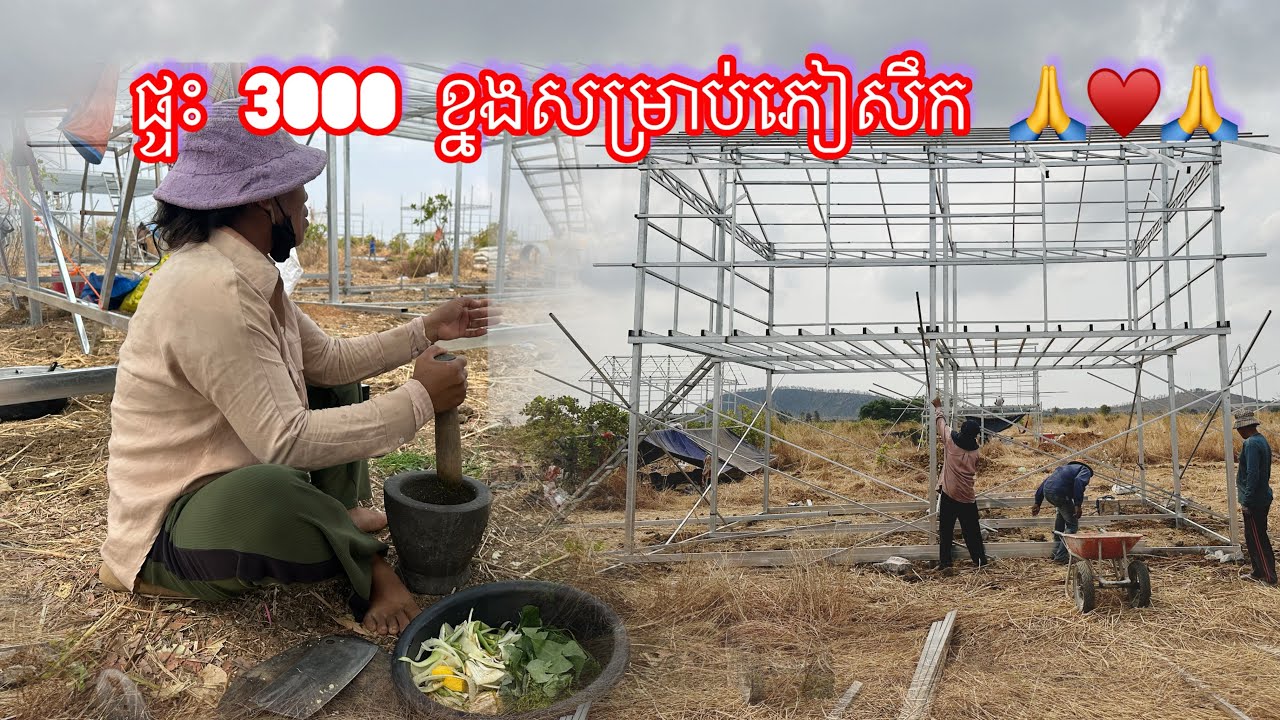 ដំណឹងបន្ទាន់ផ្ទះបីពាន់ខ្នងសម្រាប់ភៀសសឹកស្នាក់នៅ.ឃុំស្លក្រាម.ស្រុកស្វាយចេក.ស្អាតបន្ទាយមានជ័យ24/2/2026