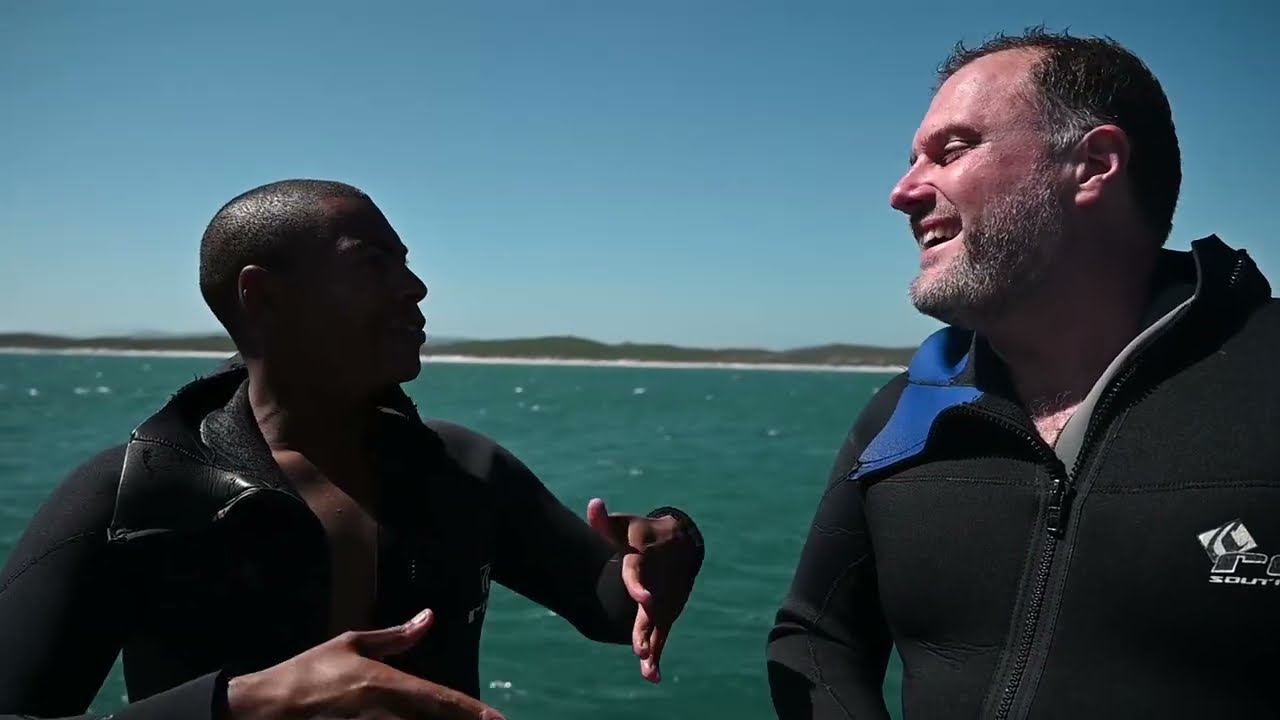 City Living: Gansbaai - Shark Cage Diving with Department of Social Development and Marine Dynamics