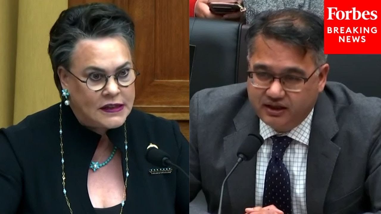 'I Want You To Answer My Question': Harriet Hageman Laces Into Dem Witness At Border Hearing