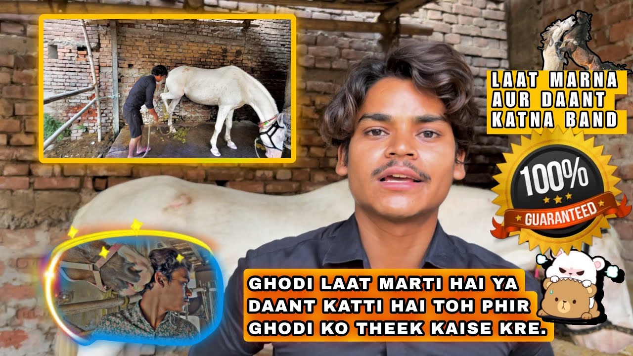 GHODI LAAT MARTI HAI YA DAANT KATTI HAI TOH PHIR GHODI KO THEEK KAISE KRE | 100% CHHUTAKARA