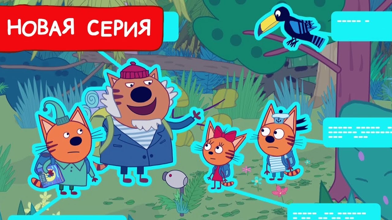 Три Кота |Темный лес | Мультфильмы для детей 2025 | Новая серия №258