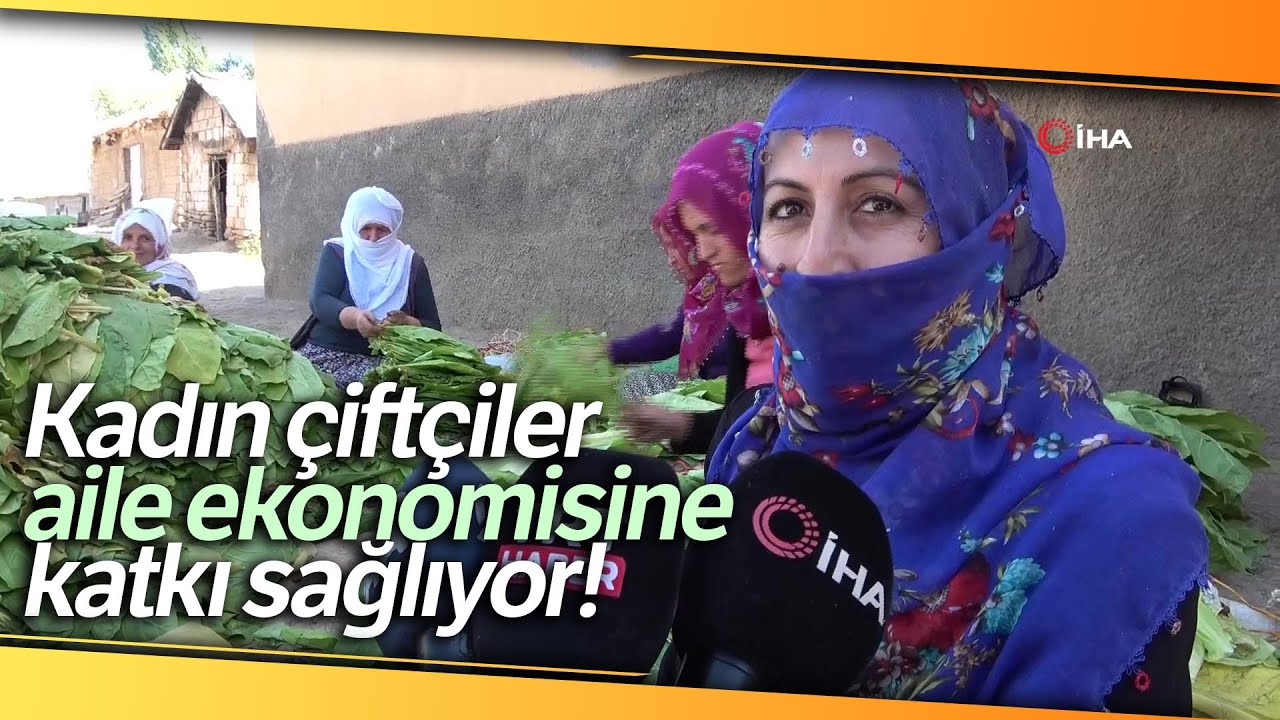 Muş’ta Kadınlar Çiftçilikle Aile Ekonomisine Katkı Sağlıyor