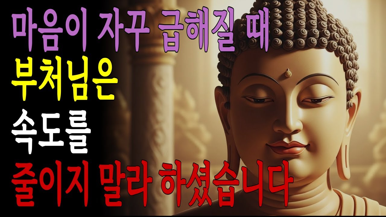 마음이 자꾸 급해질 때, 부처님은 속도를 줄이지 말라 하셨습니다 | 부처님 말씀 | 불교 명언
