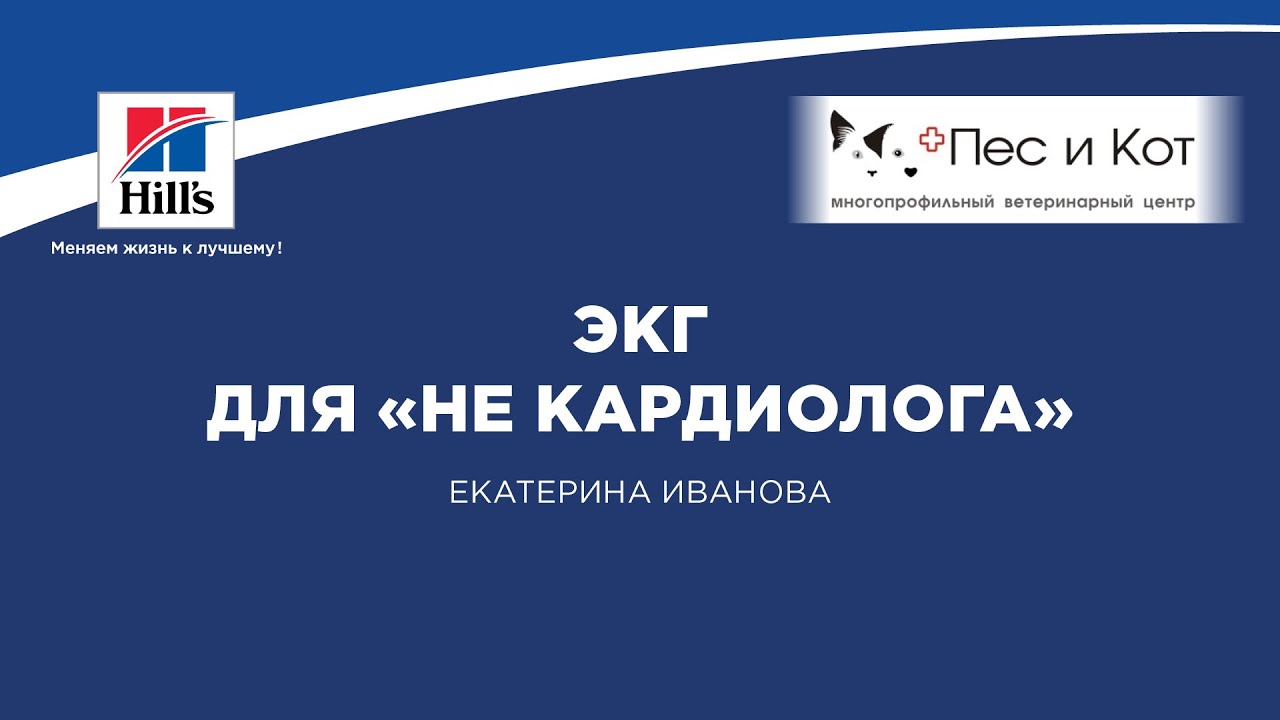 Вебинар на тему: 
