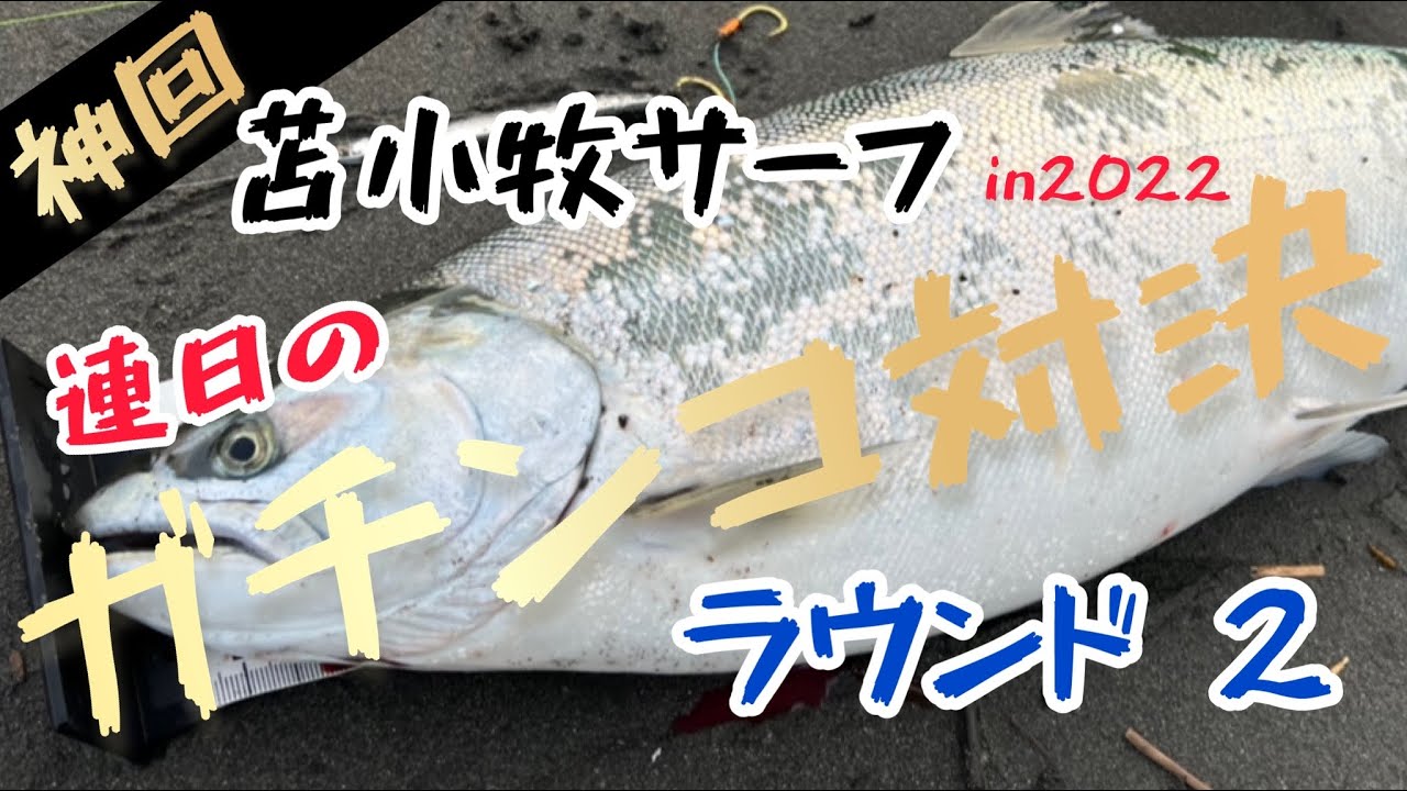 【神回】苫小牧サーフ サクラマスと連日のガチンコ対決 ラウンド2