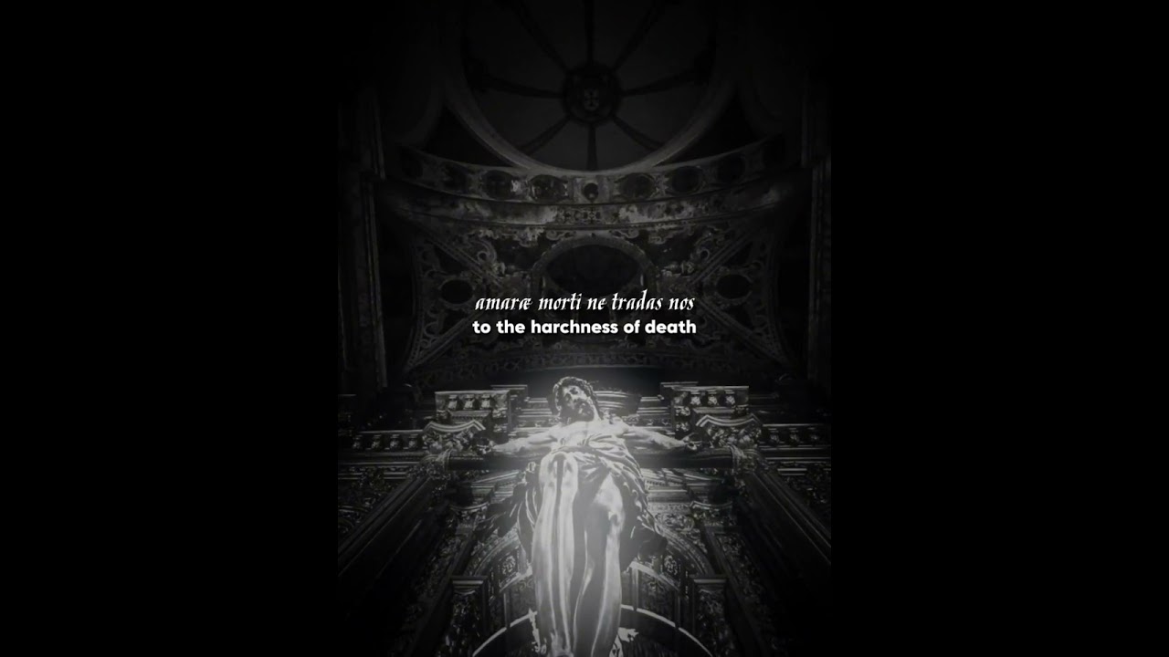 Media Vita ✝️ [slowed & reverb] (Lyric video)