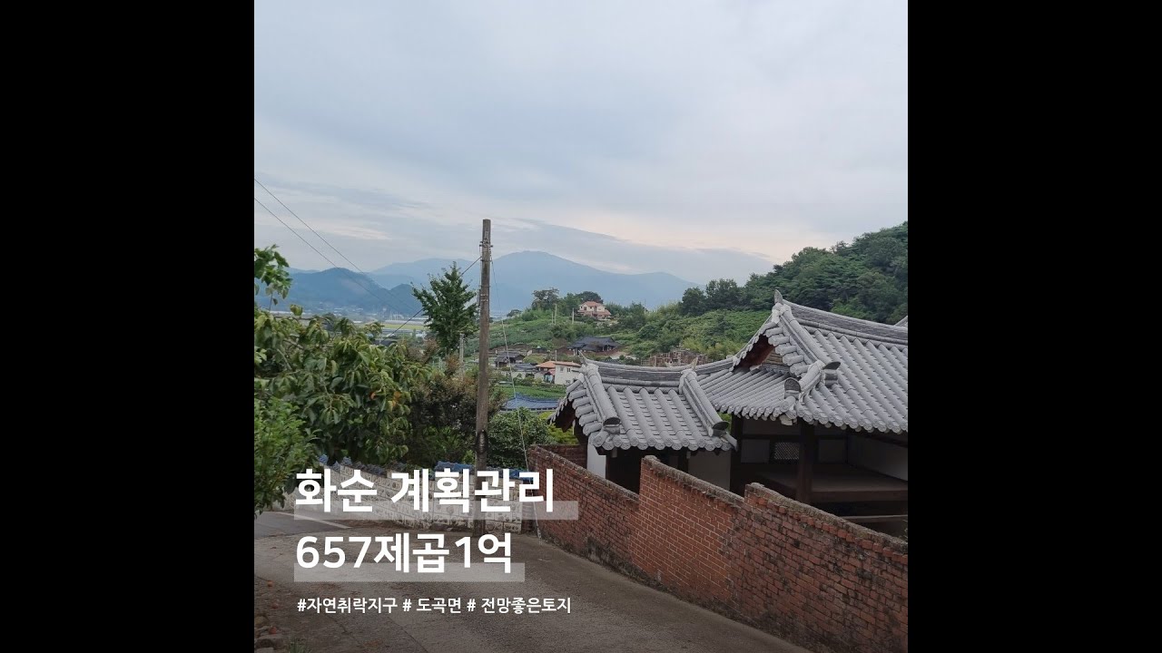 화순군 도곡면 대곡리지대높은 토지 매매