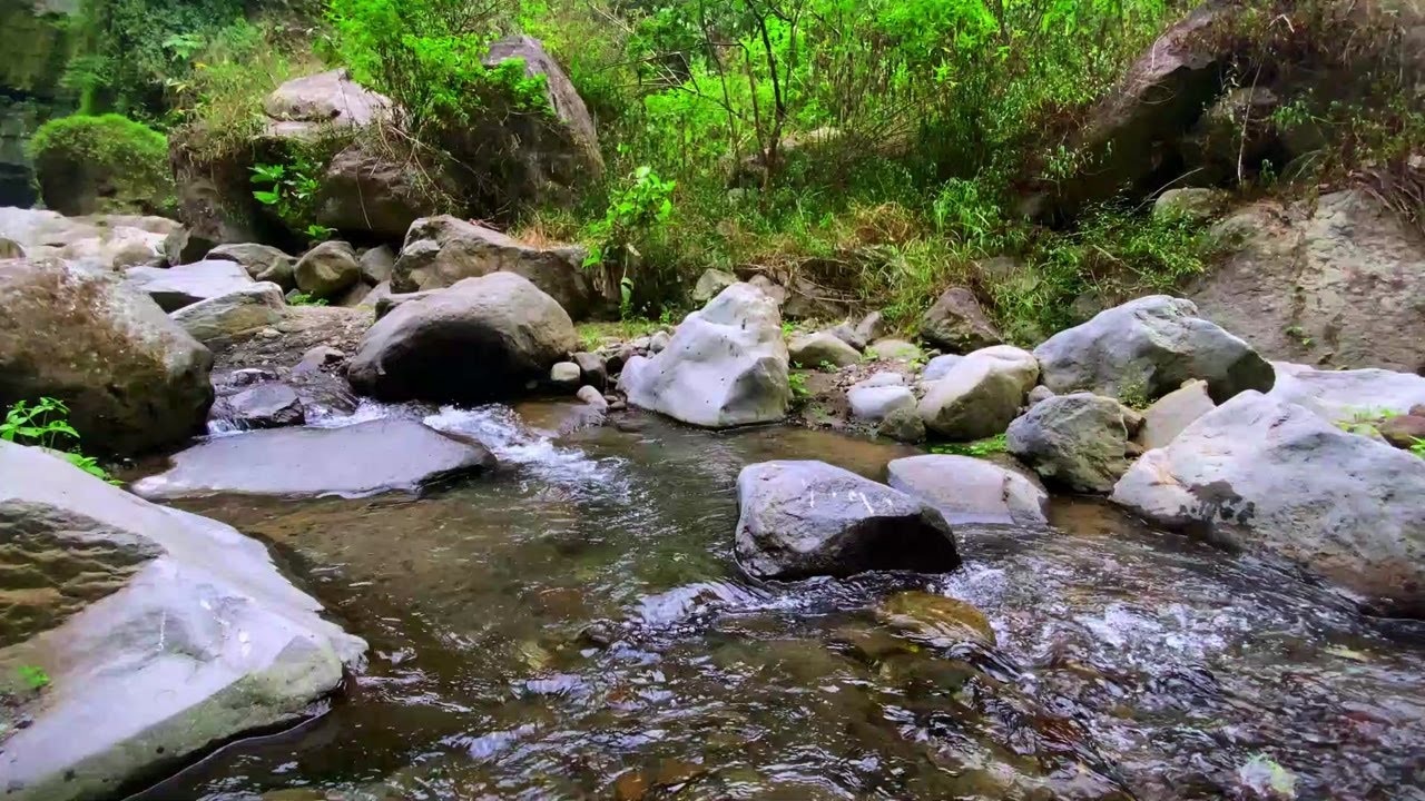 Natural River Sounds for Calm Focus