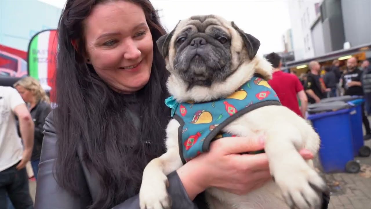 Dutch Chili Fest 2024 Aftermovie v3 0