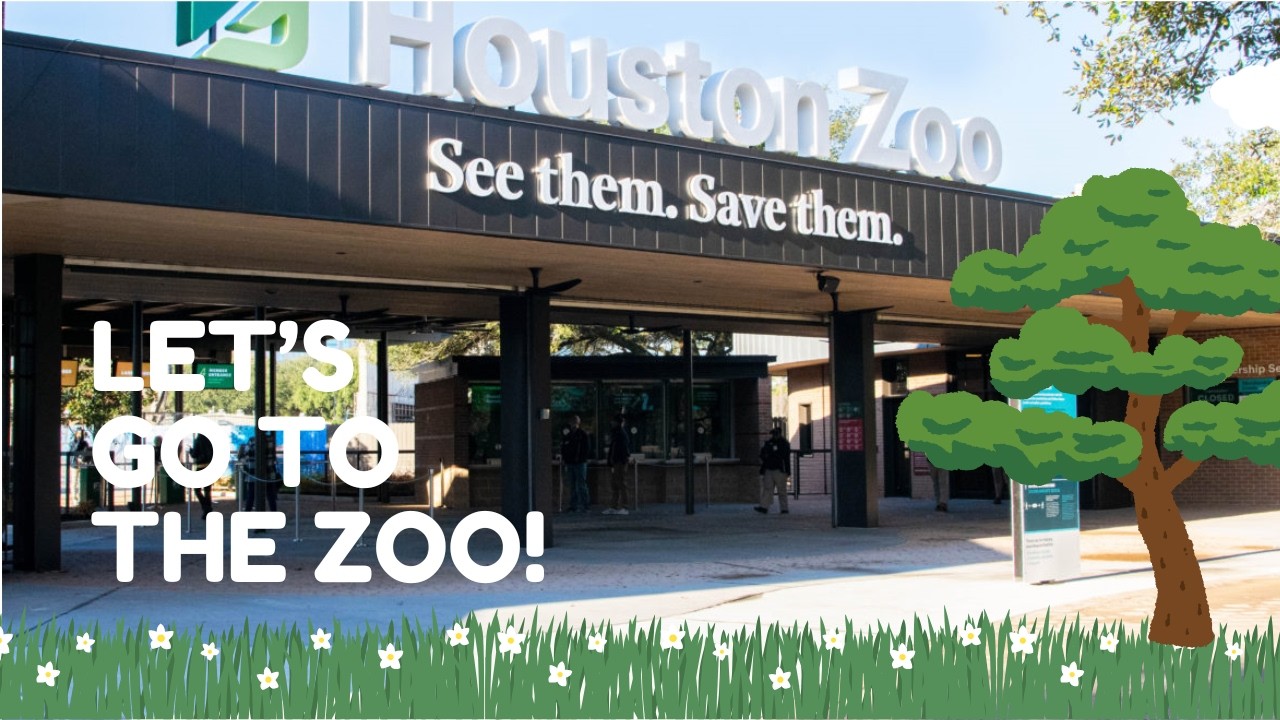 Houston Zoo Family Vlog 2026 | Seals, Snakes & Surprises! 🦭🐍