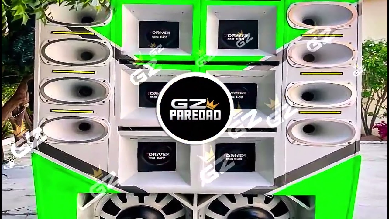 CD FORROZINHO PRA PAREDÃO 2024 NOVO ANAILSON PRODUÇÕES  E DUDU BATIDÃO ALTA QUALIDADE #piseiro