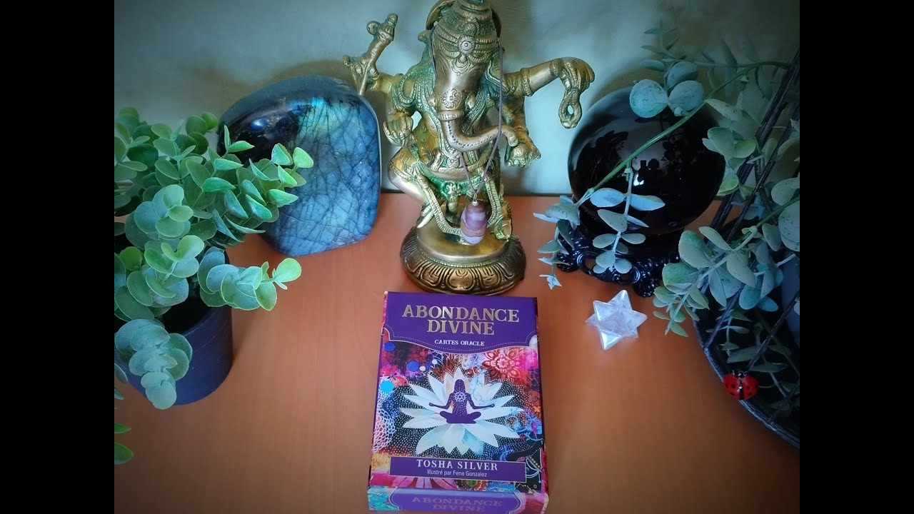 🕉️🧘💟Oracle Abondance Divine de Tosha Silver, illustré par Fena Gonzalez (Présentation)