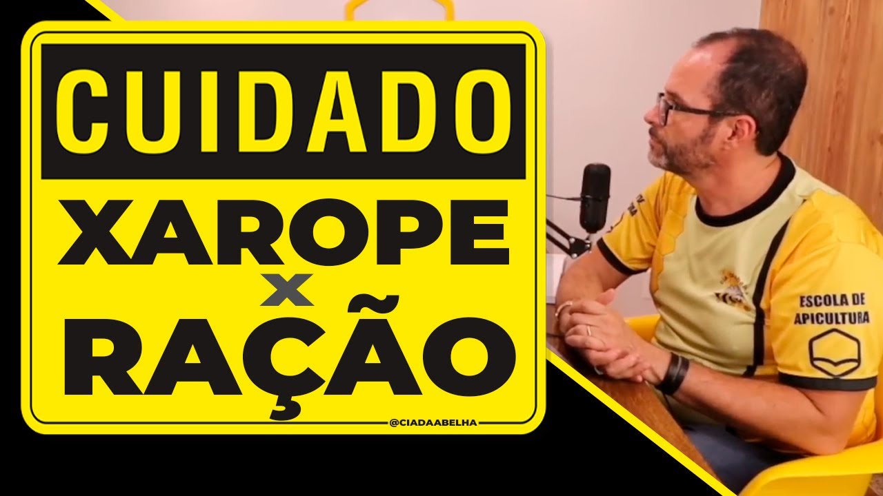 Cuidados na hora de escolher a alimenta&ccedil;&atilde;o das suas abelhas