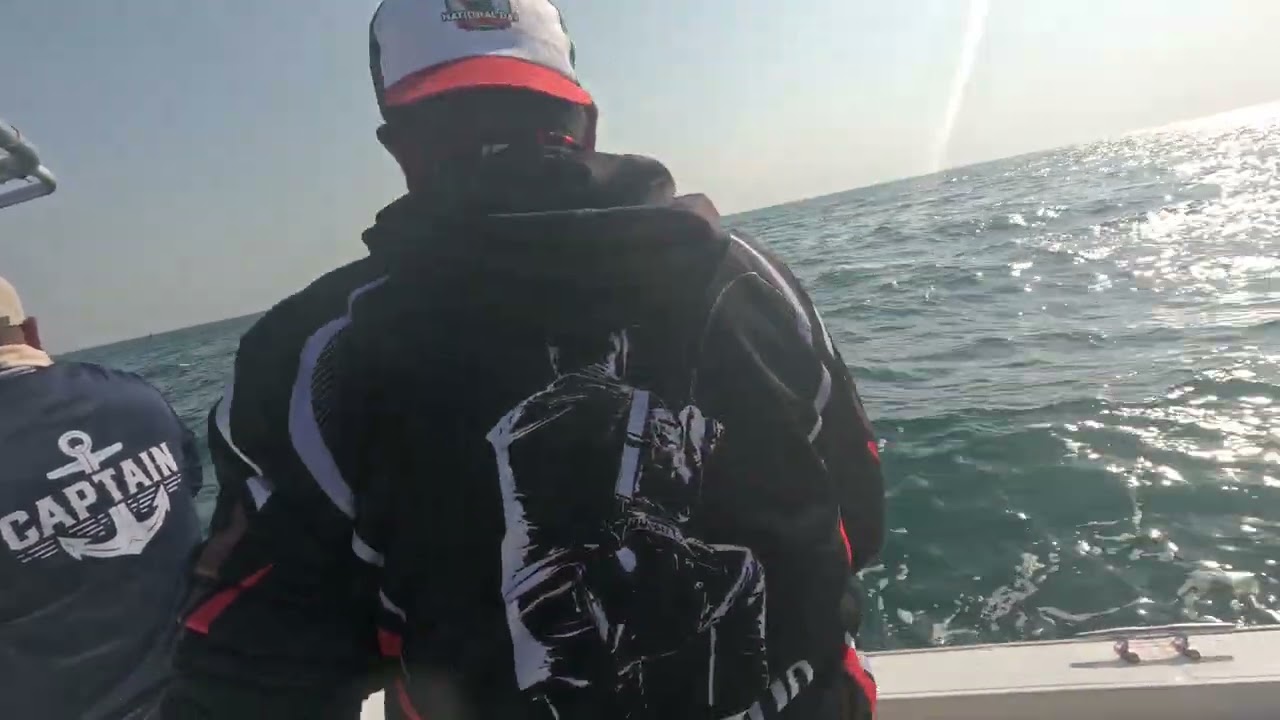 Shark  #fishing #fishingmethods #fish #fishingtechniques ##casting #shimano #angler #lurefishing 