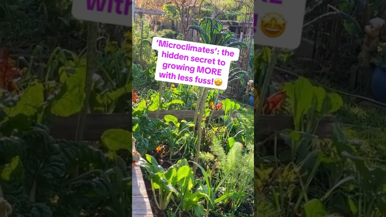 Learning your garden&rsquo;s microclimates means you can grow more, lose less, and plant with confidence!