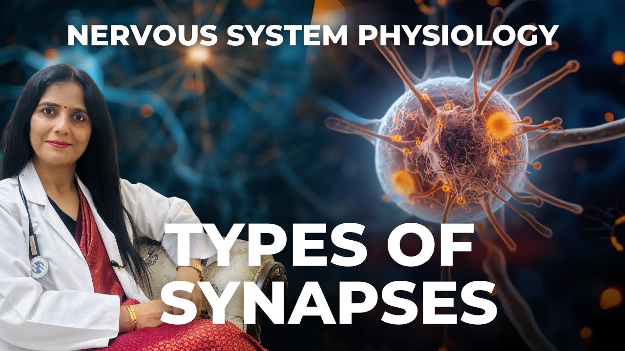 ТИПЫ СИНАПСОВ
